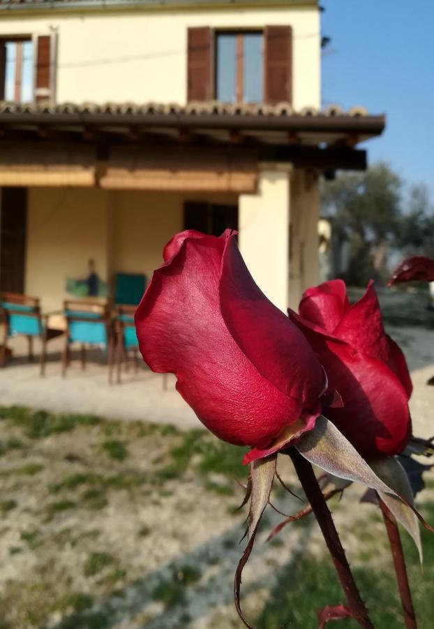 B&B Conca Del Pretore Loreto Aprutino Luaran gambar