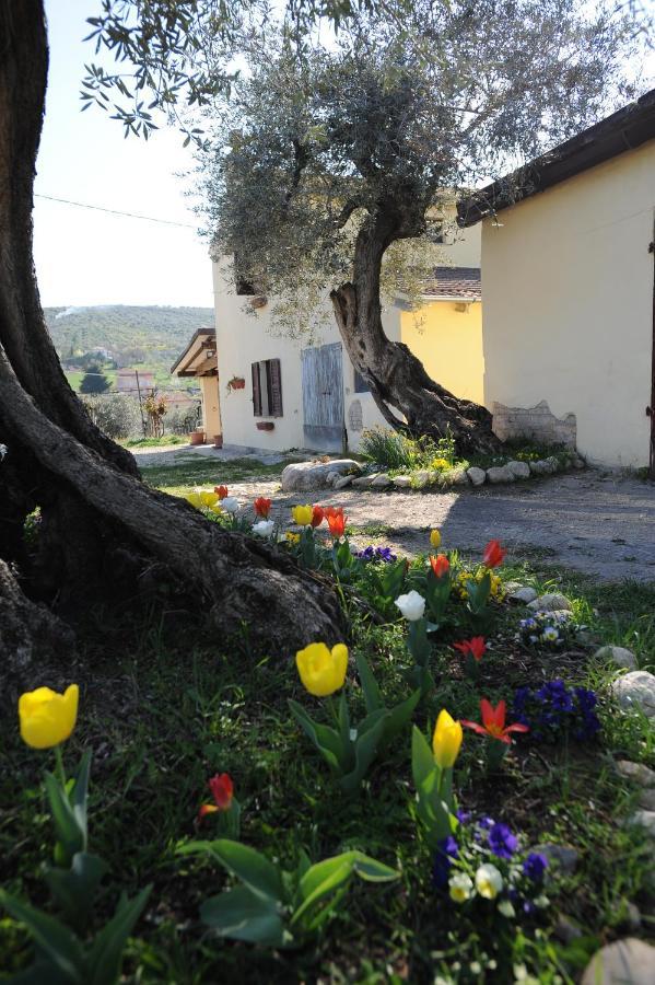 B&B Conca Del Pretore Loreto Aprutino Luaran gambar