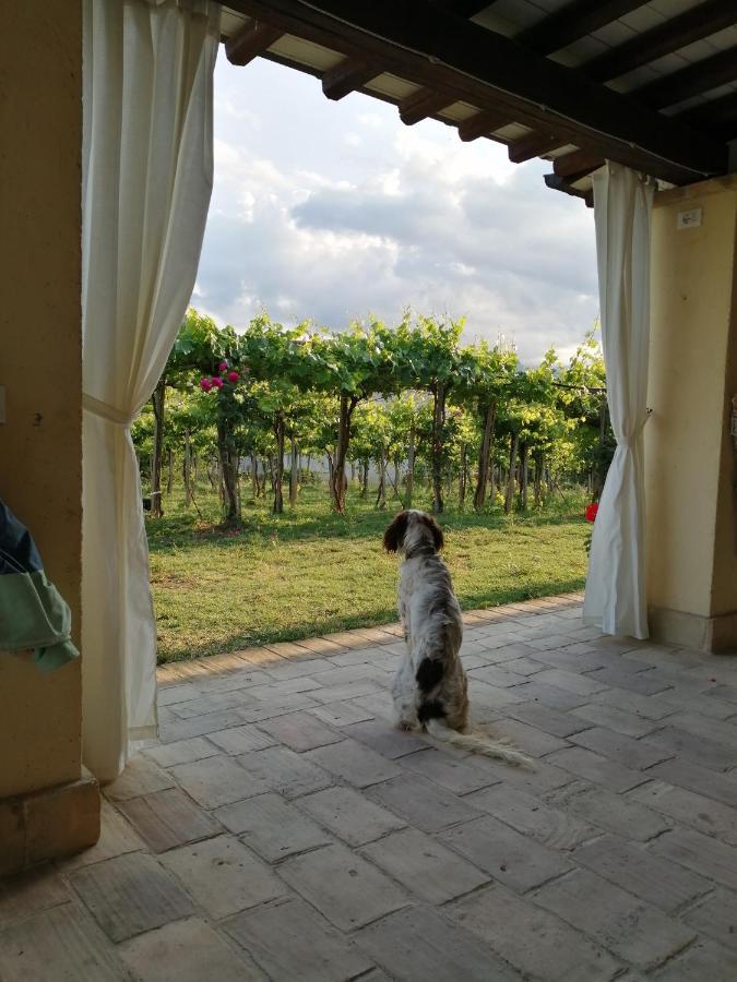B&B Conca Del Pretore Loreto Aprutino Luaran gambar