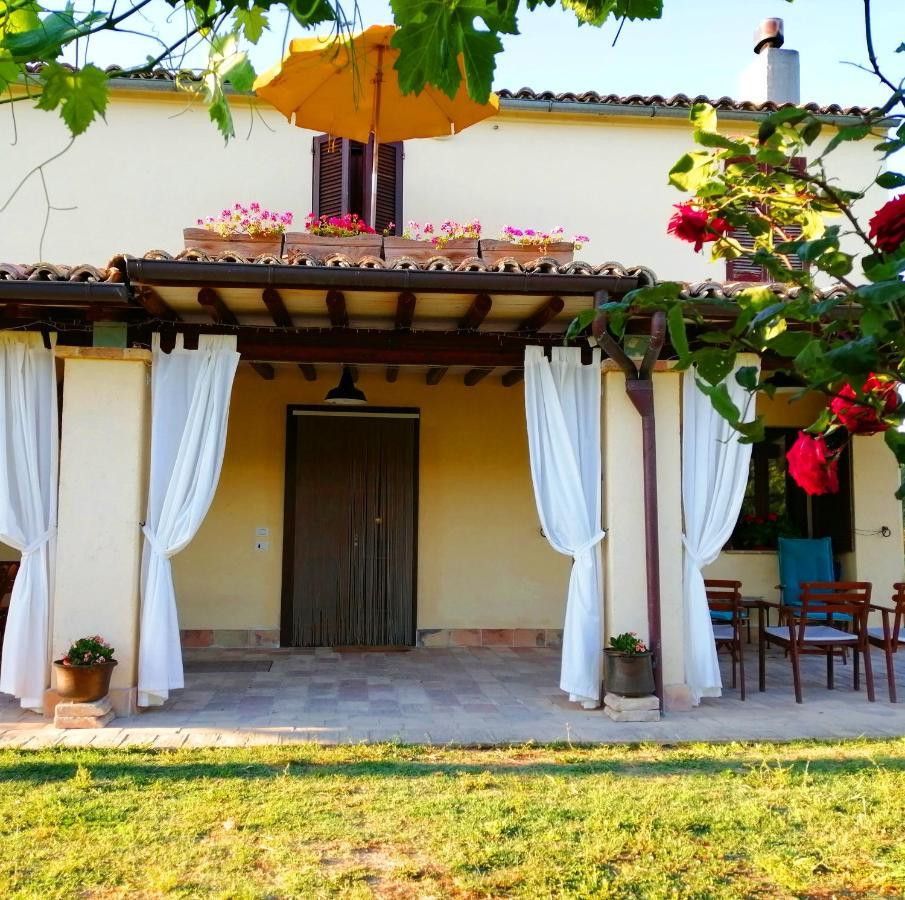 B&B Conca Del Pretore Loreto Aprutino Luaran gambar